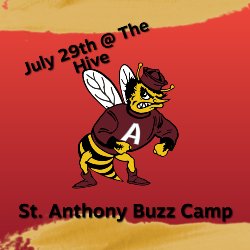 buzz camp